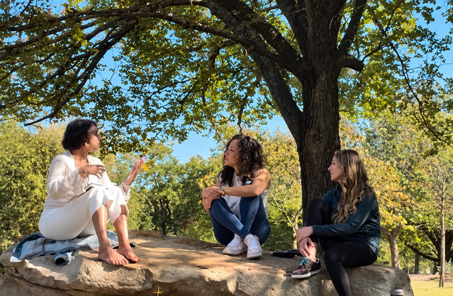 Three women sitting together on rocks beneath a large tree, talking in a sunlit park